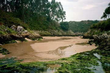 Río Bedón